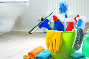 Messie Reinigung Emden